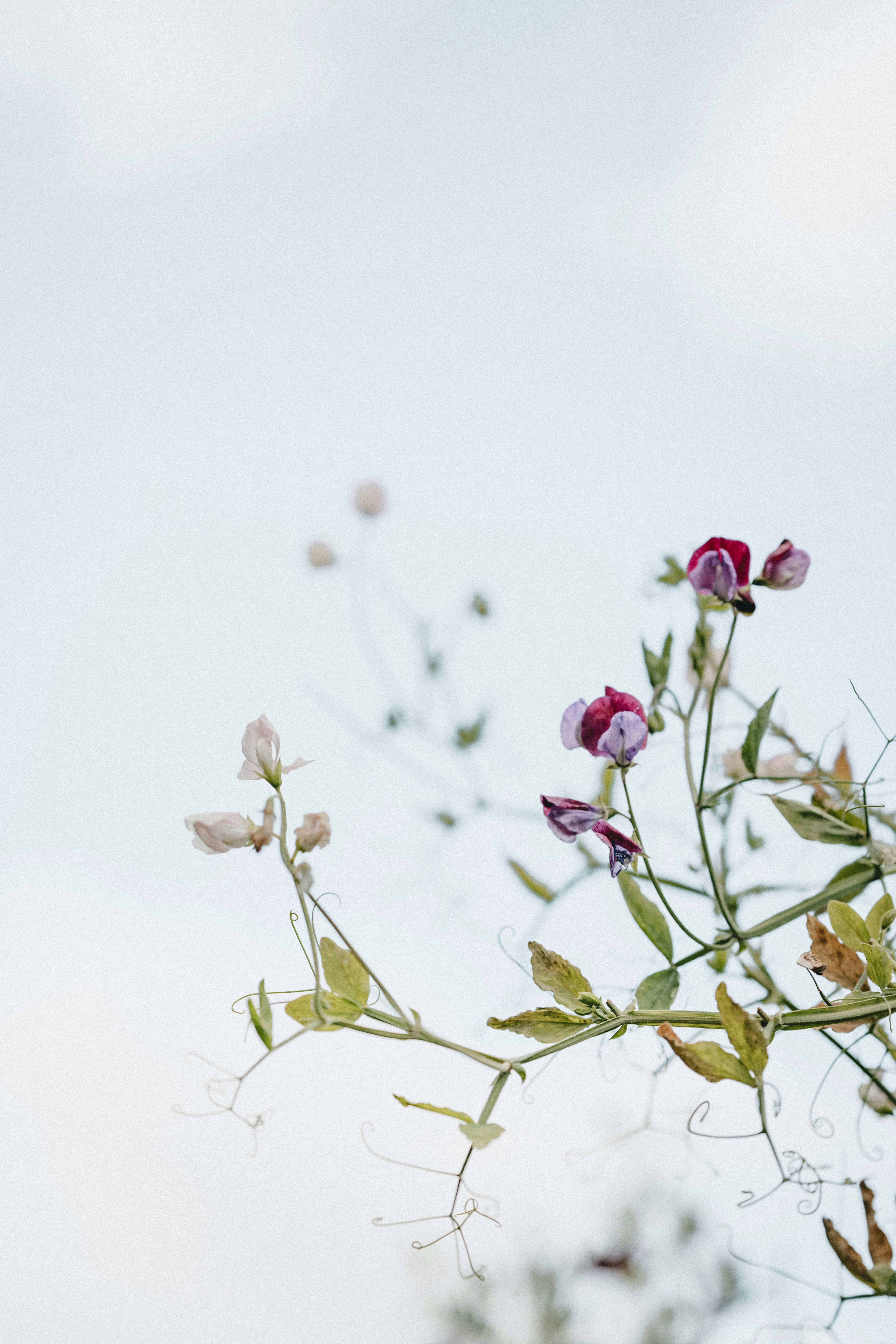 Photo by anniespratt