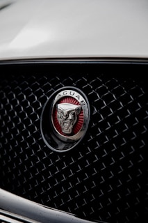 The image features a close-up view of a car grille adorned with a prominent metallic emblem featuring the logo of a jaguar. The grille has a mesh pattern, and the emblem is set against a red background, enhancing its visual appeal.
