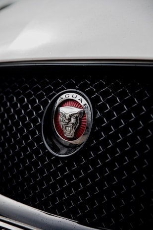 The image features a close-up view of a car grille adorned with a prominent metallic emblem featuring the logo of a jaguar. The grille has a mesh pattern, and the emblem is set against a red background, enhancing its visual appeal.