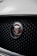 The image features a close-up view of a car grille adorned with a prominent metallic emblem featuring the logo of a jaguar. The grille has a mesh pattern, and the emblem is set against a red background, enhancing its visual appeal.
