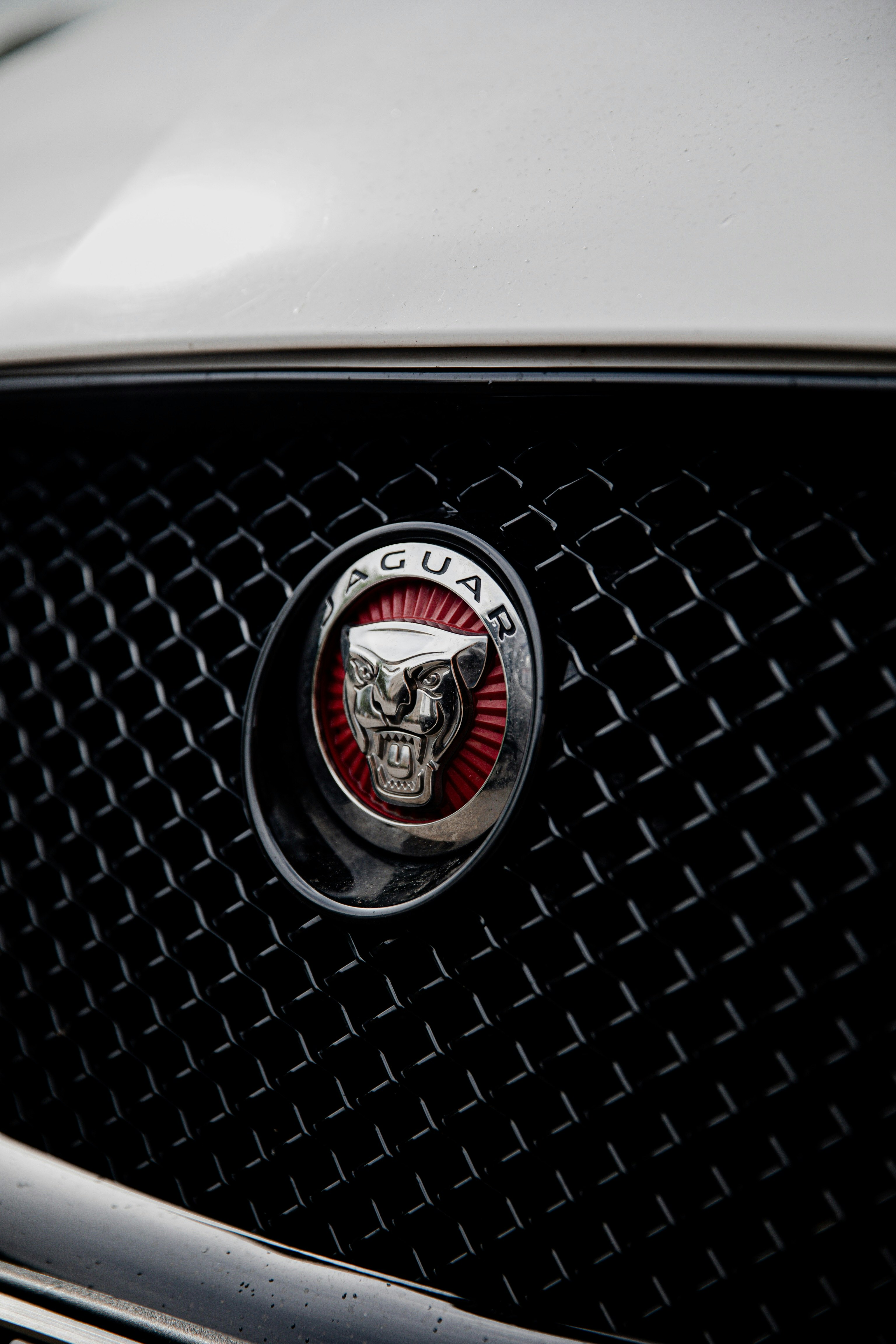 black and silver ford mustang emblem