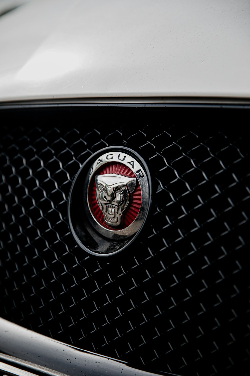 Schwarz-silbernes Ford Mustang Emblem