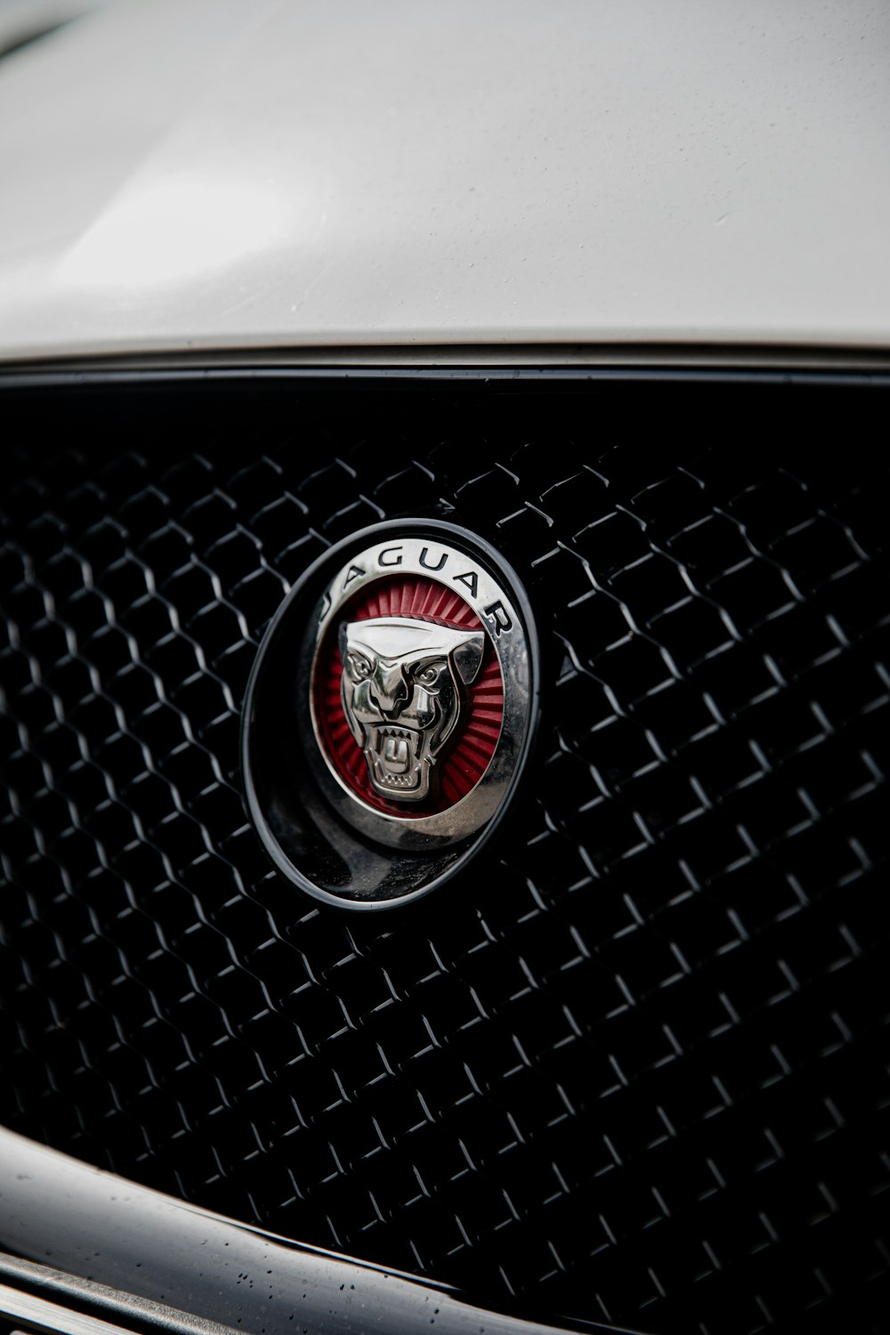 Emblema de Ford Mustang negro y plateado