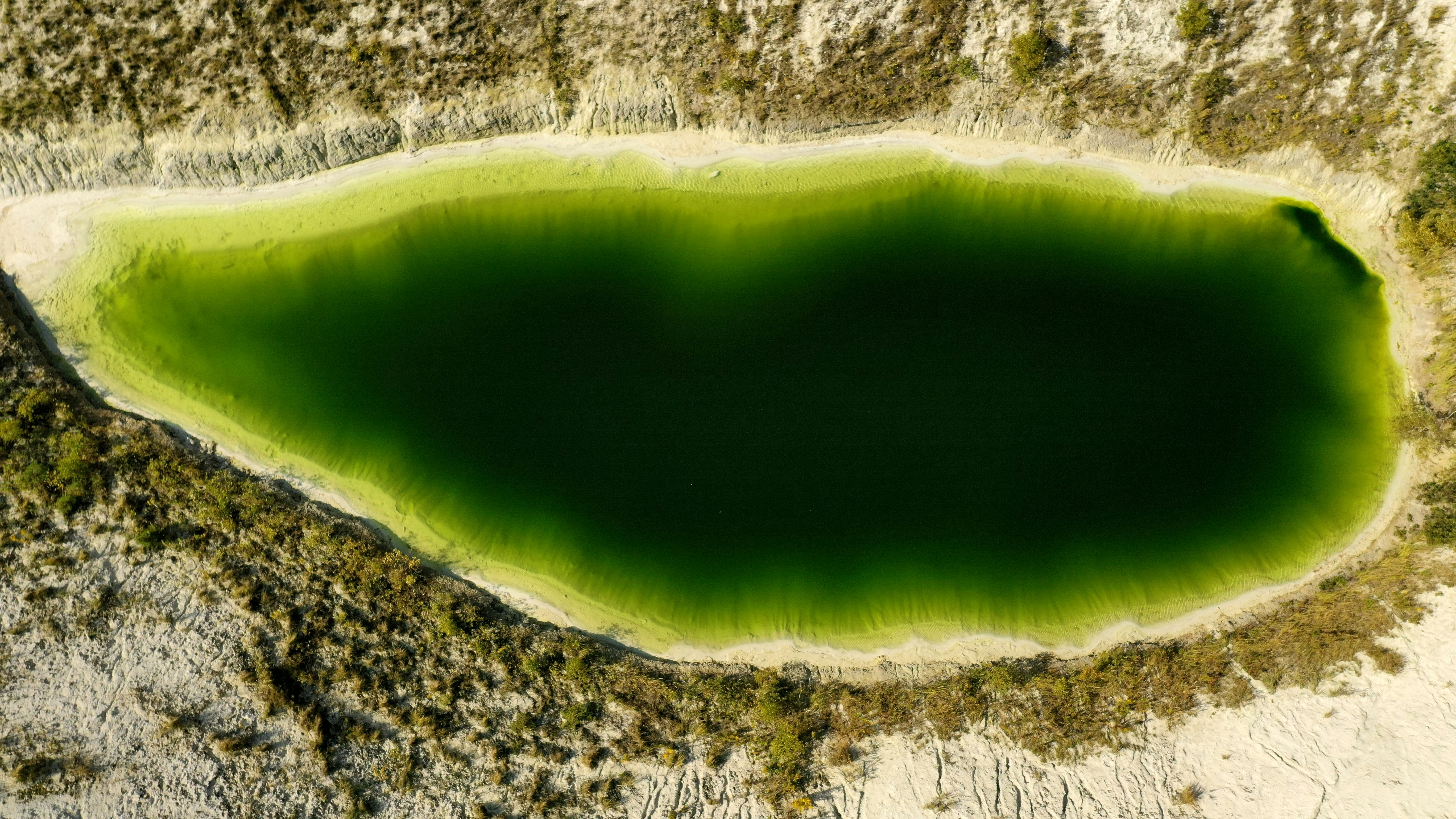 The Astrobiology Connection: Clues for Life Beyond Earth (image credits: unsplash)