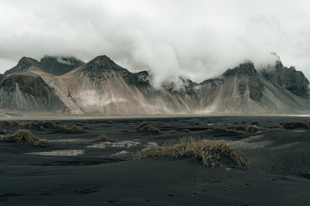 brown grass near body of water and mountain