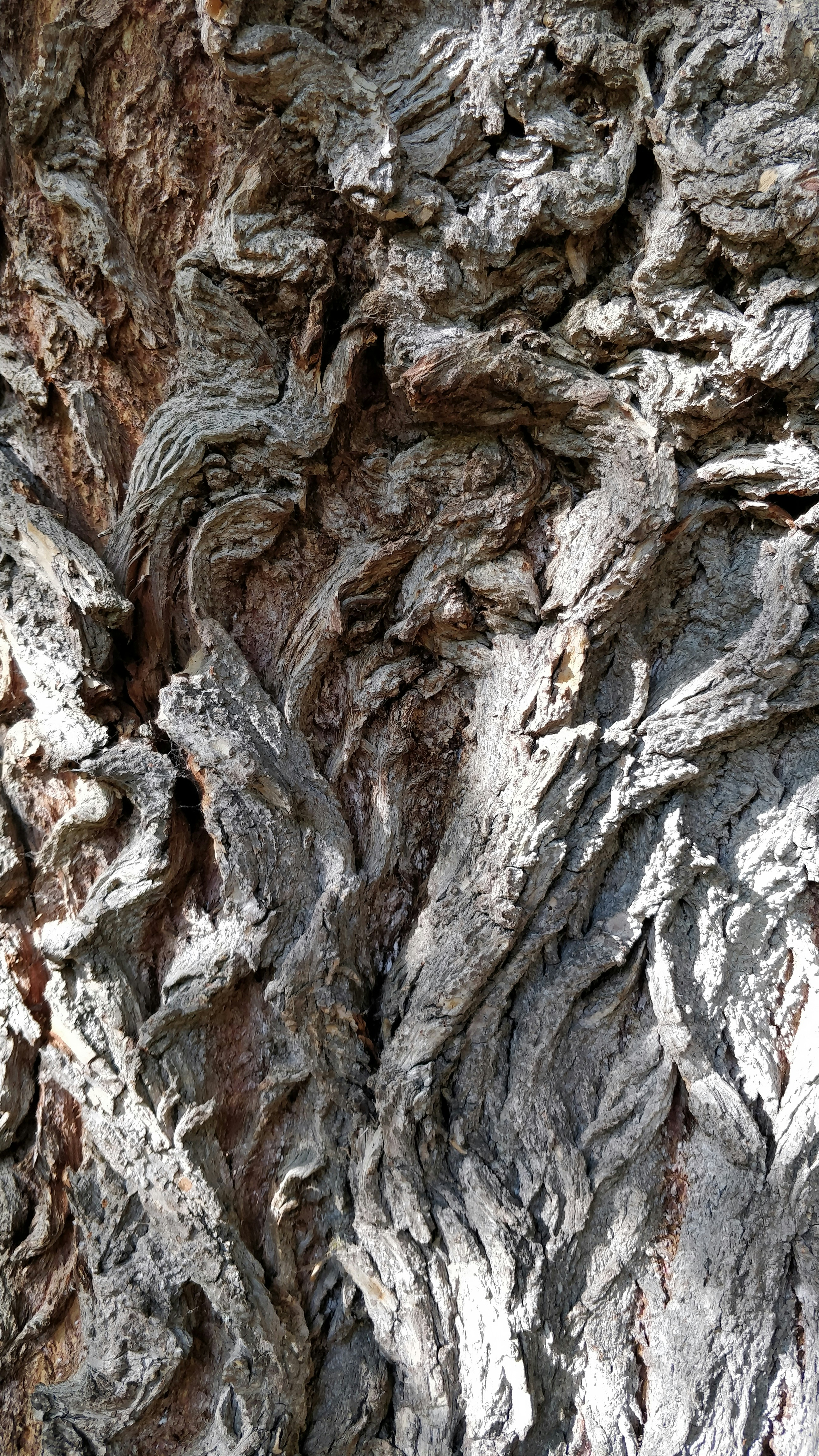 Photo by davidcarboni