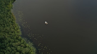 An aerial view of a large, dark body of water with a small floating structure near its center. Dense green foliage lines the left edge, creating a contrast with the water. Sparse clusters of green lily pads or similar vegetation are visible on the water's surface near the plants.