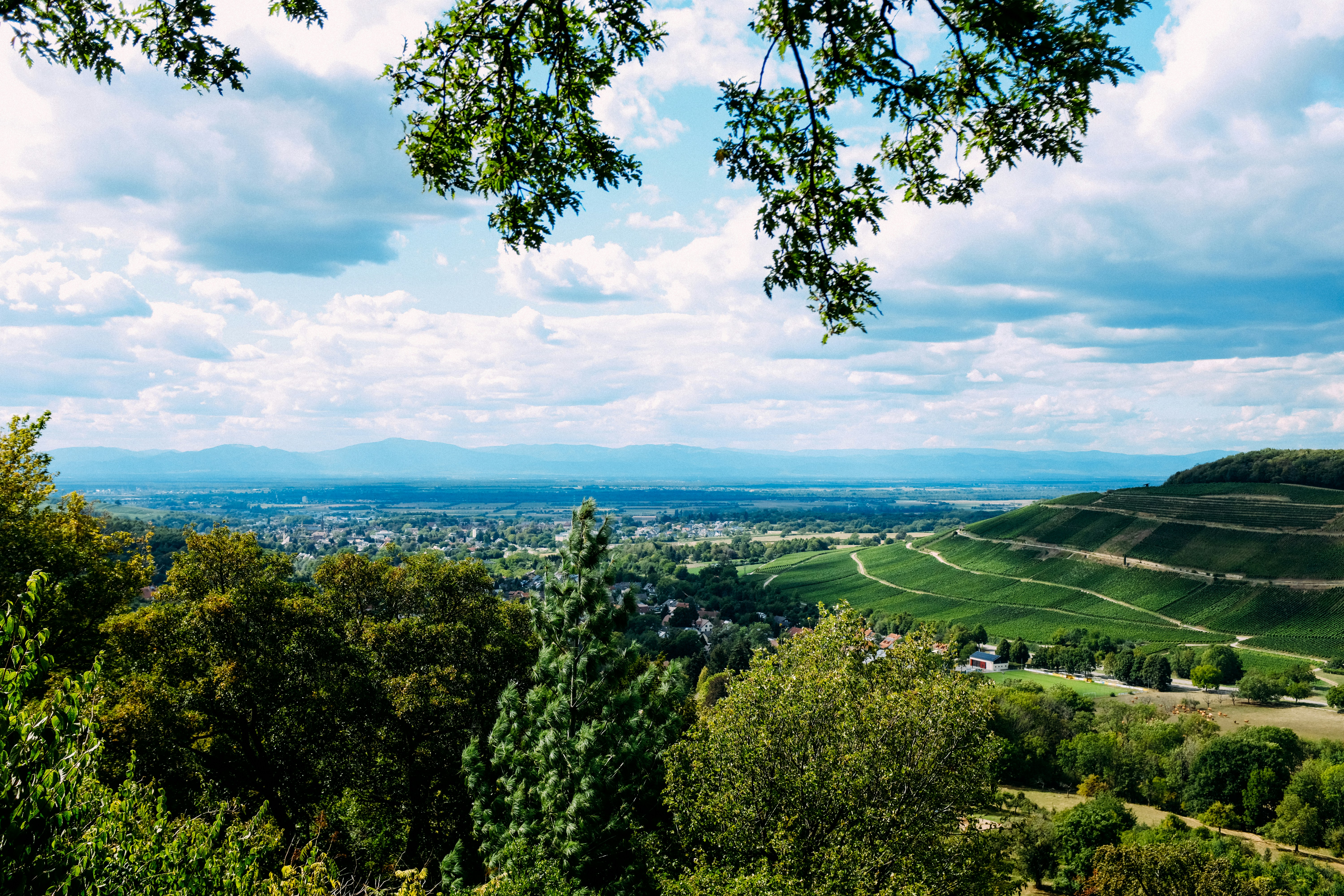 Photo by adrienolichon