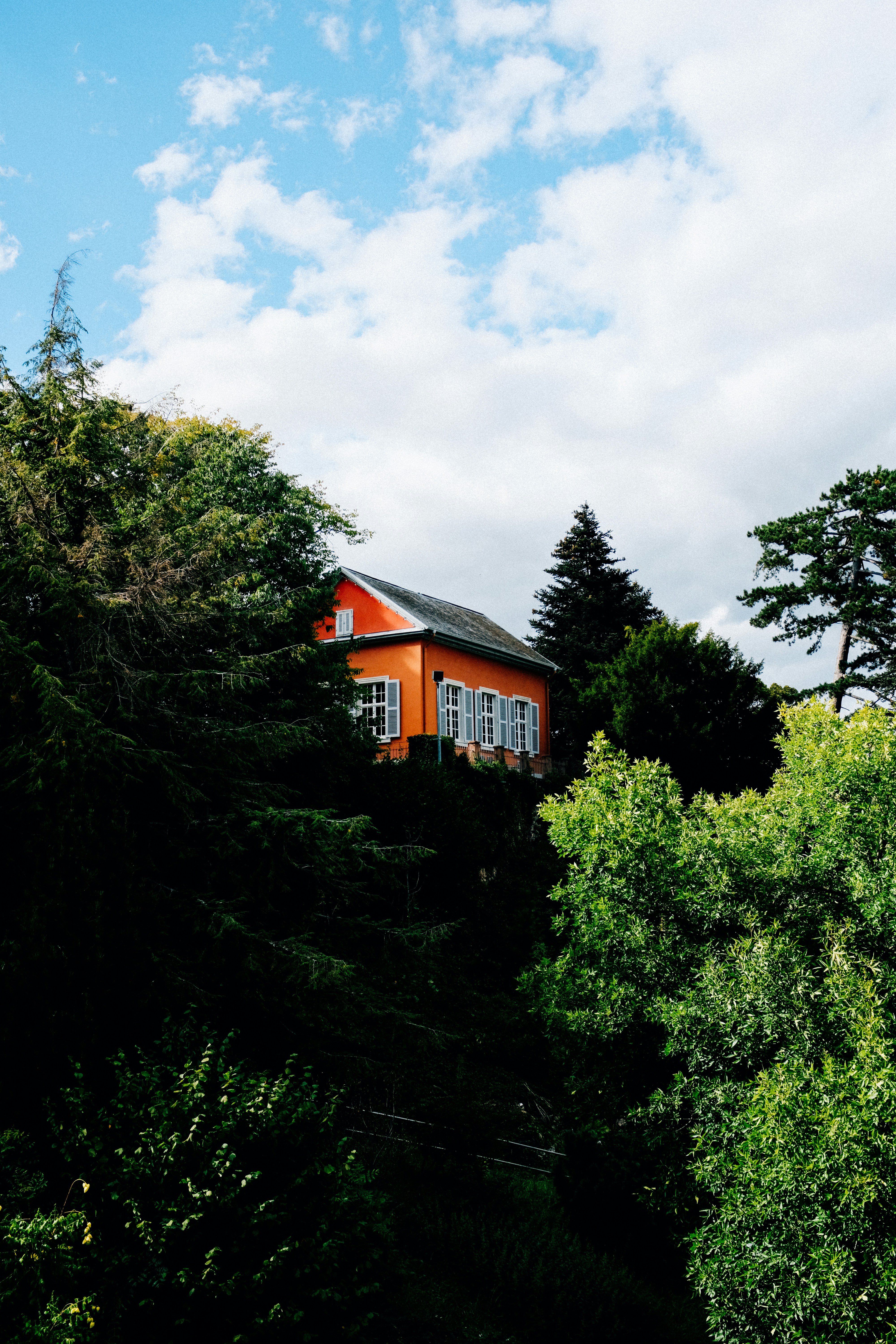 Photo by adrienolichon