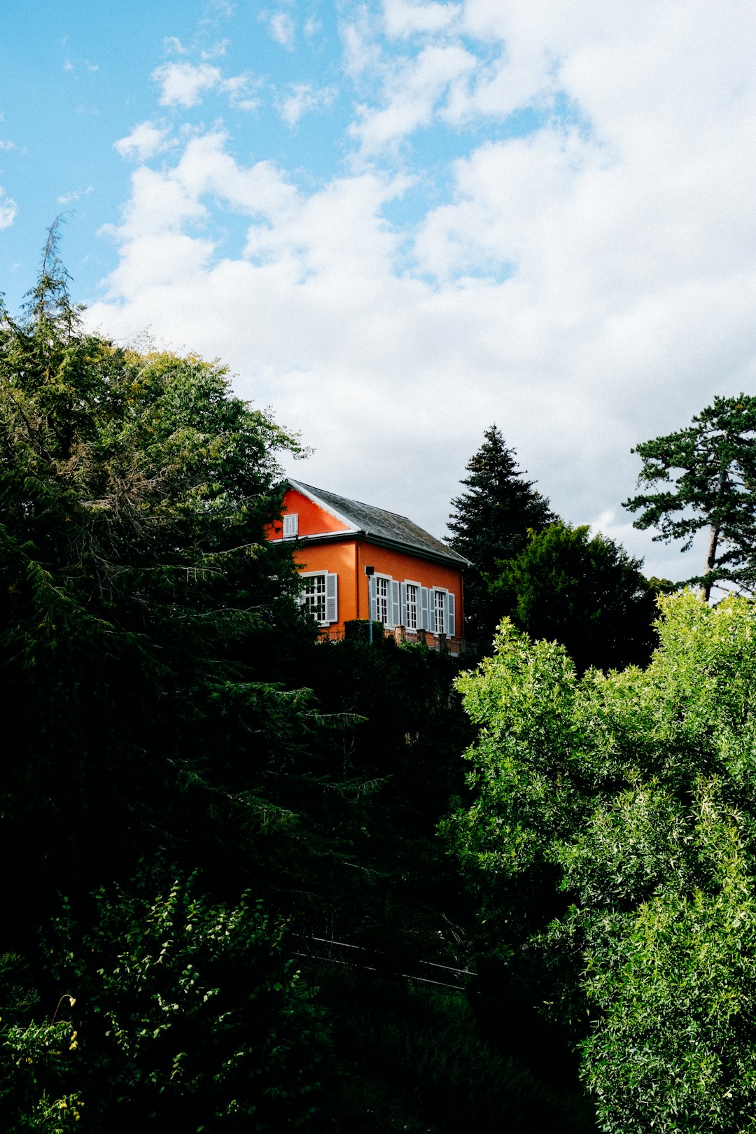 brown wooden house surrounded by green trees under white clouds and blue sky during daytime