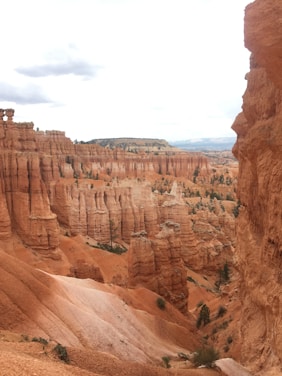A vast landscape of natural rock formations characterized by towering spires and hoodoos with a backdrop of distant mesas and a cloudy sky.