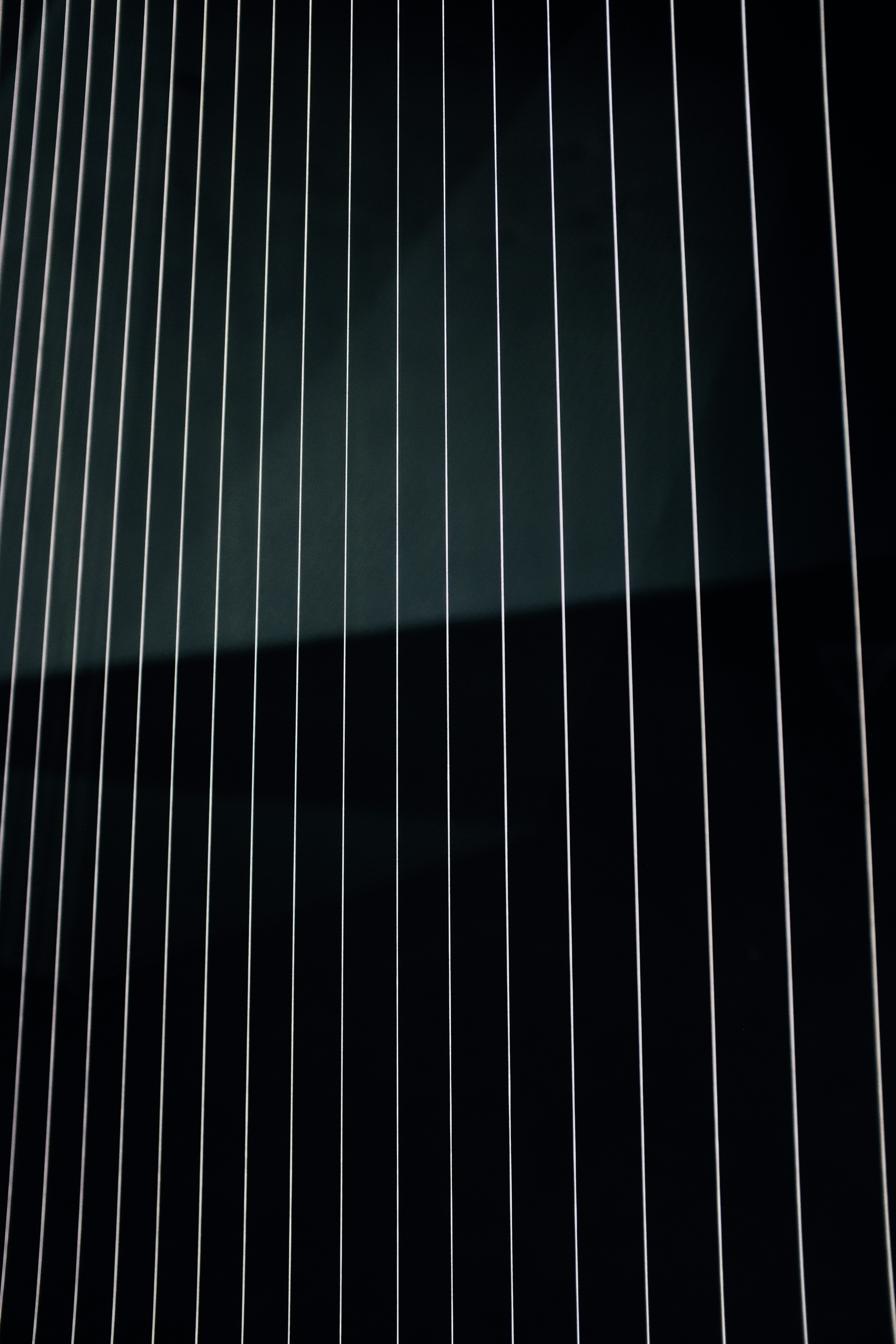 Photo by adrienolichon