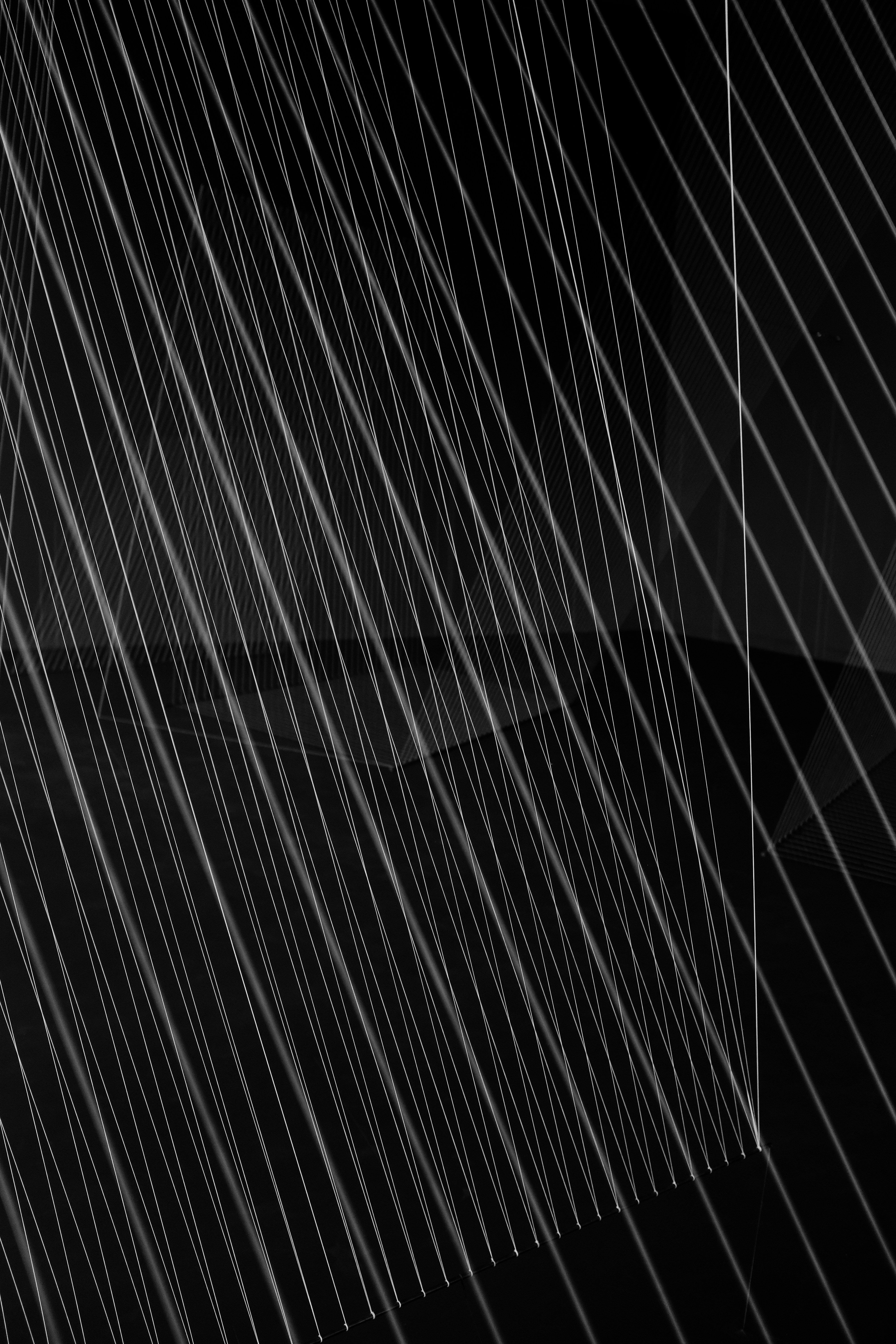 Photo by adrienolichon