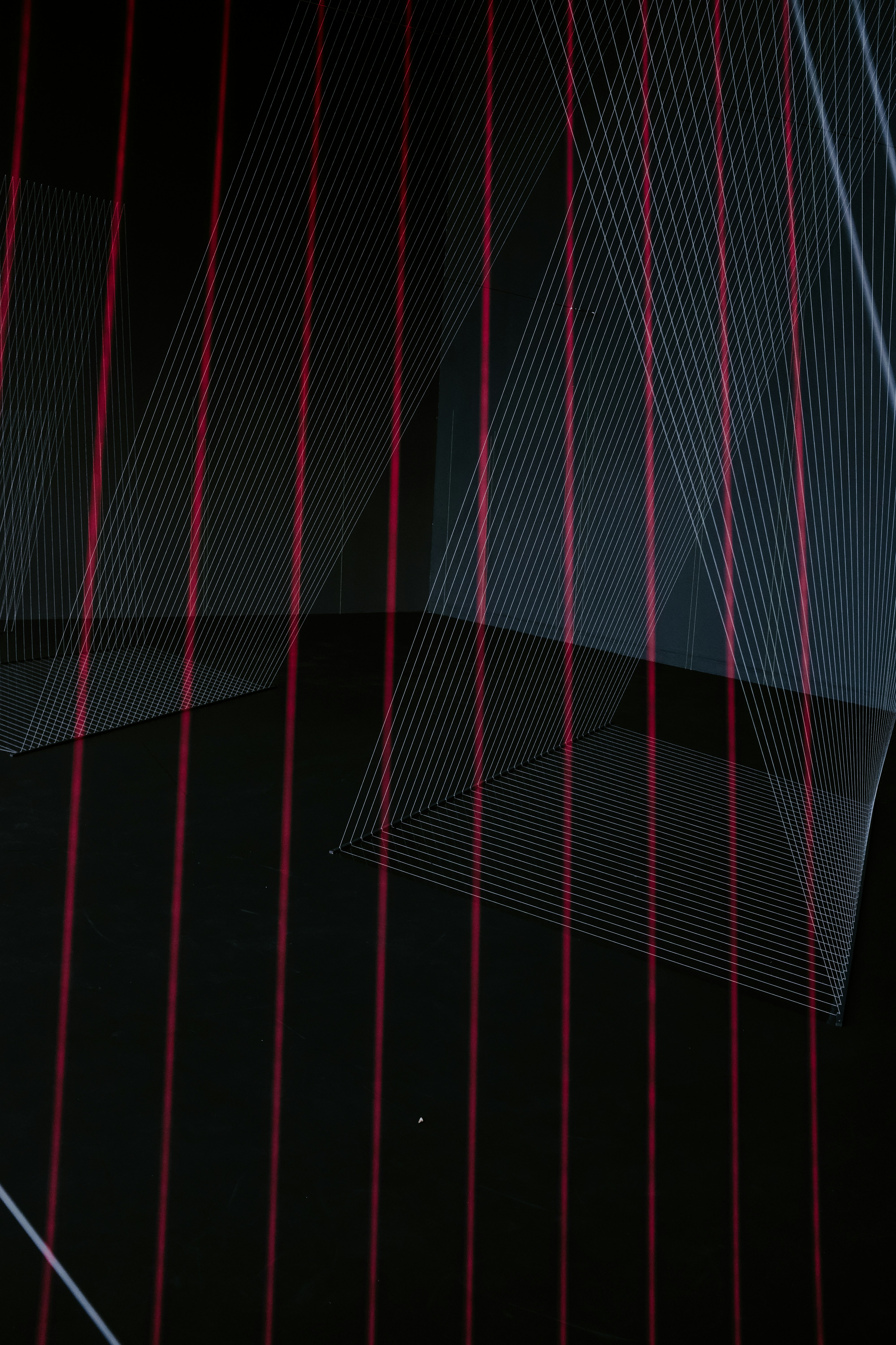 red and black striped illustration