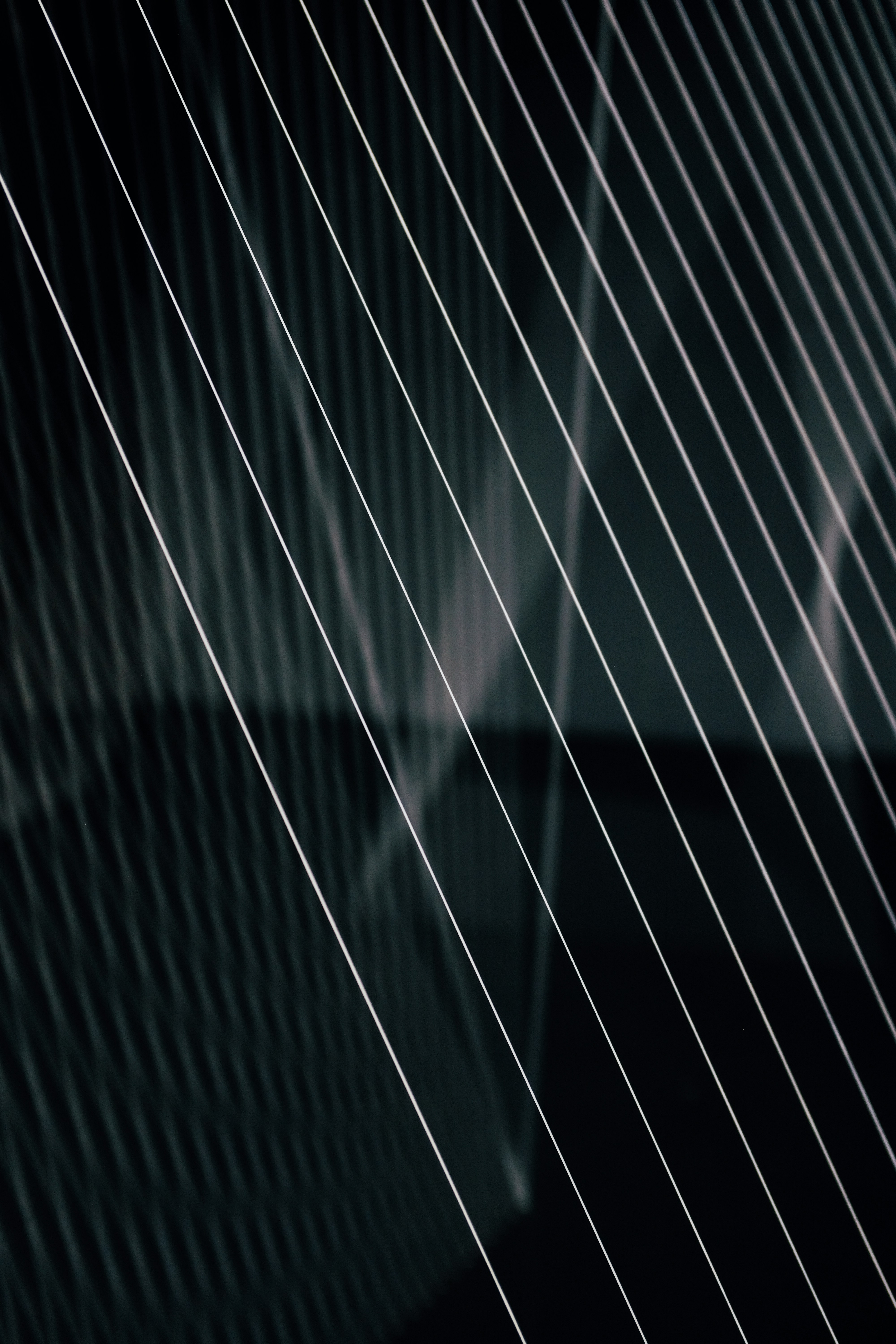 Photo by adrienolichon