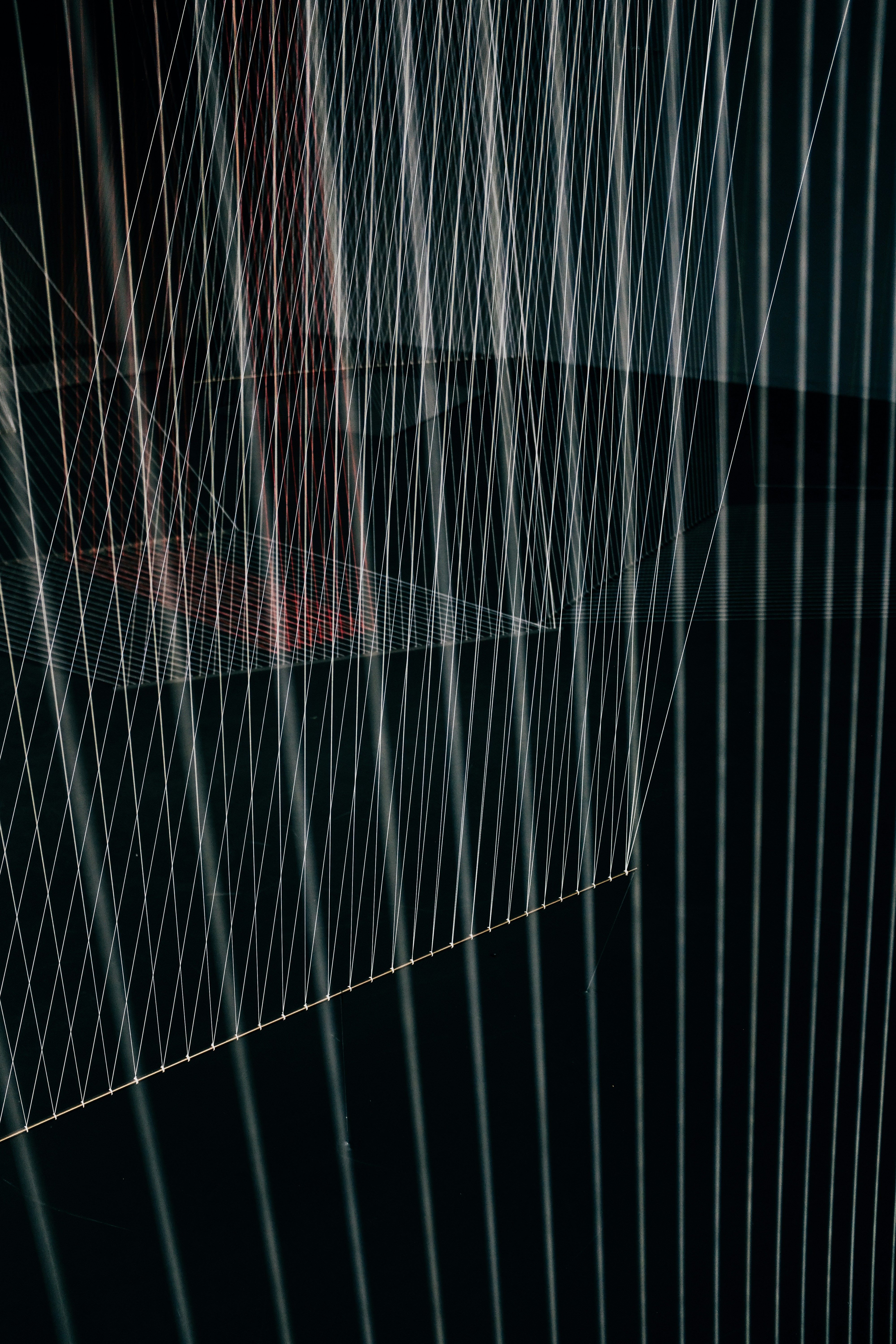 Photo by adrienolichon