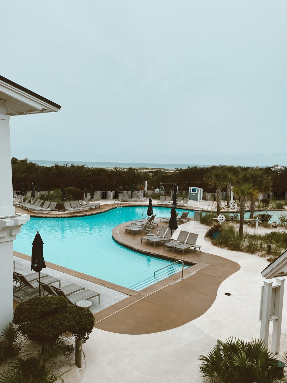 swimming pool near green trees during daytime