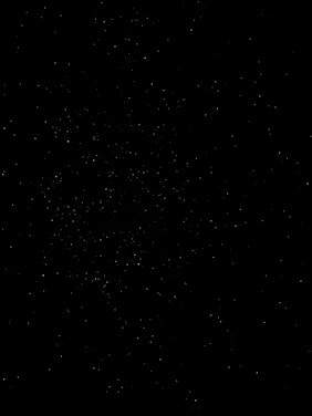 black and white photo of a black