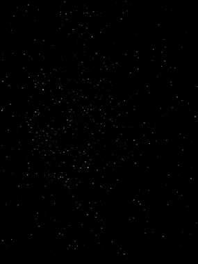 black and white photo of a black