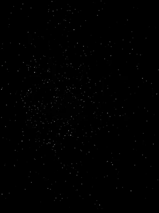 black and white photo of a black