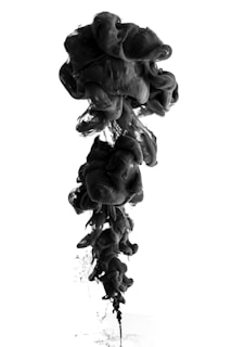 A dynamic, swirling plume of black ink disperses in water, creating intricate, billowing shapes against a stark white background. The fluid forms appear both delicate and dense, with variations in opacity and texture.