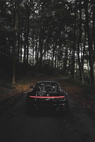 black car on forest during daytime
