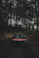 black car on forest during daytime