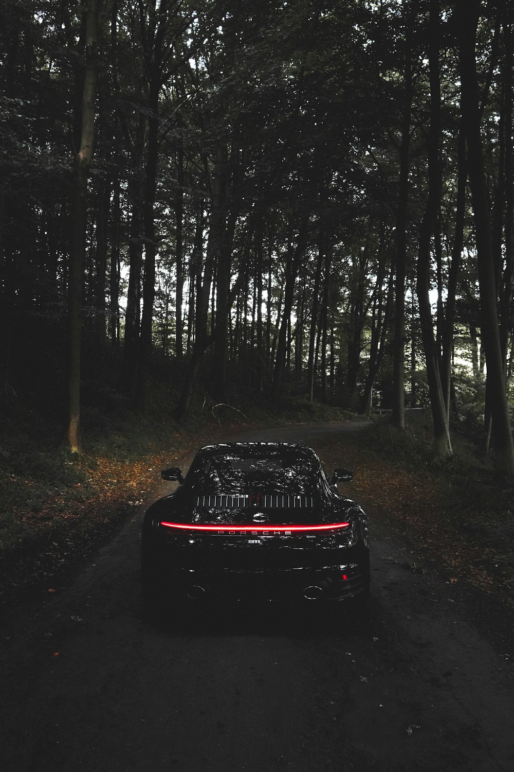 昼間の森の黒い車