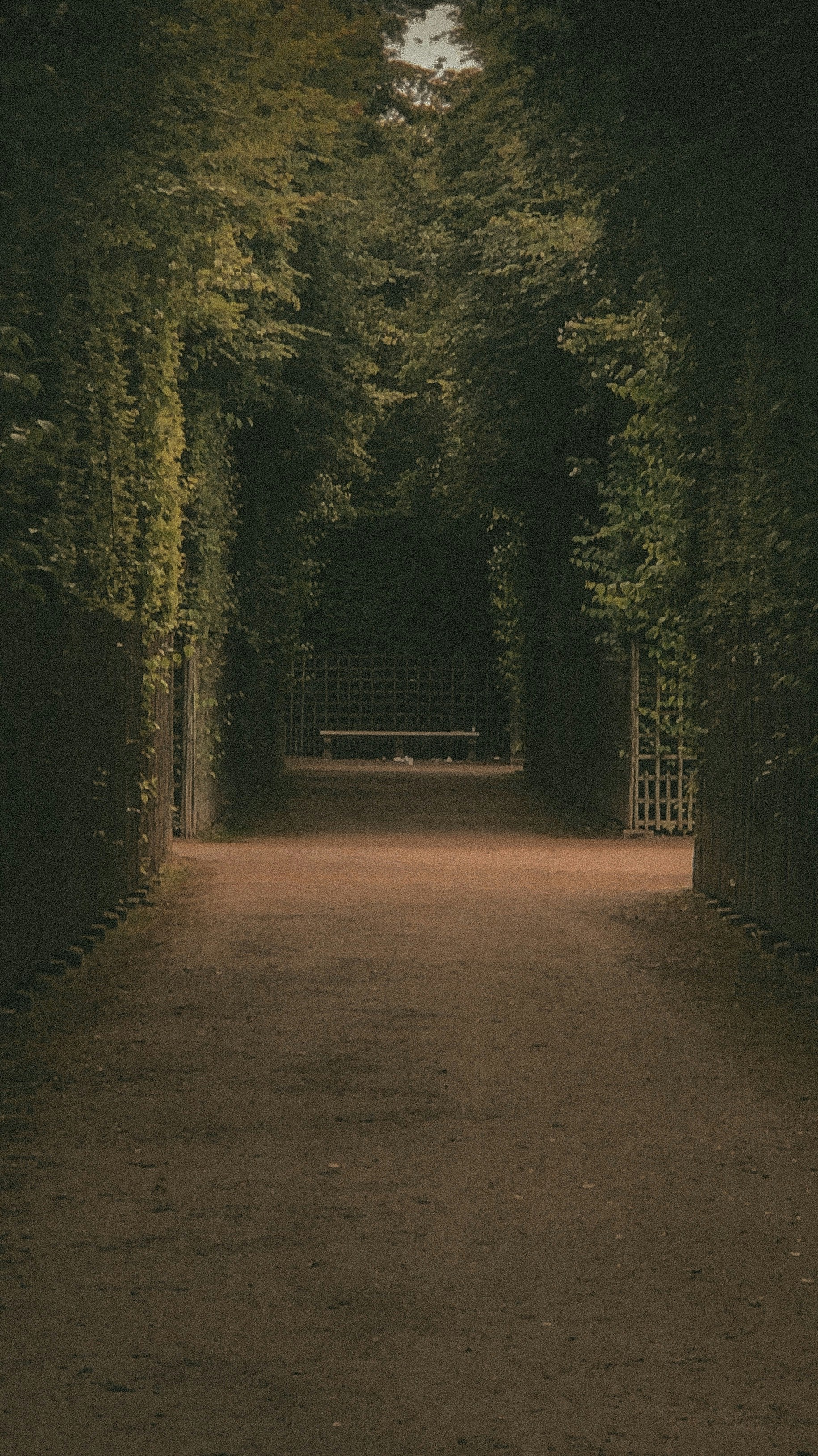 Photo by dustinfaires