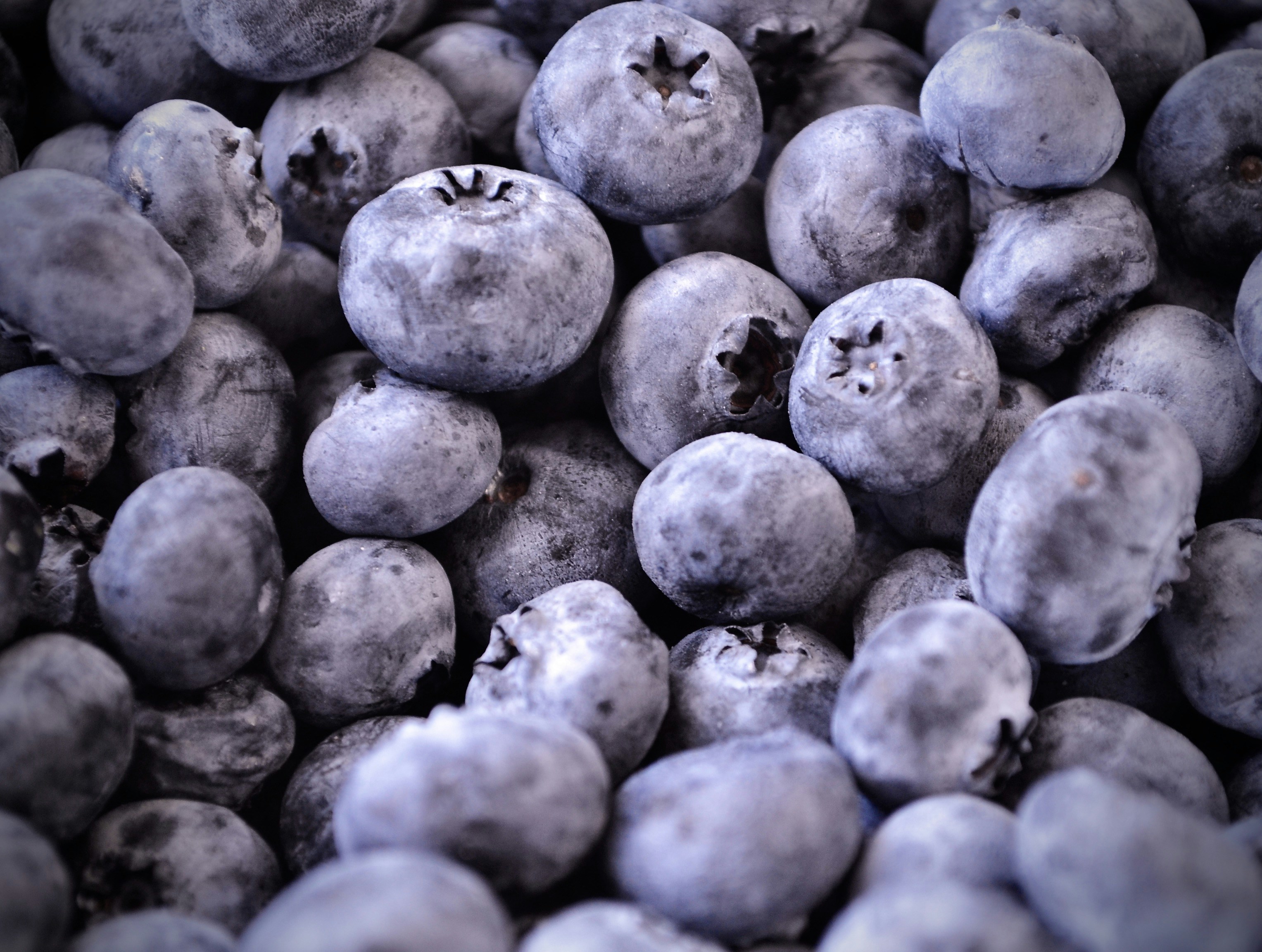 close up photo of round fruits