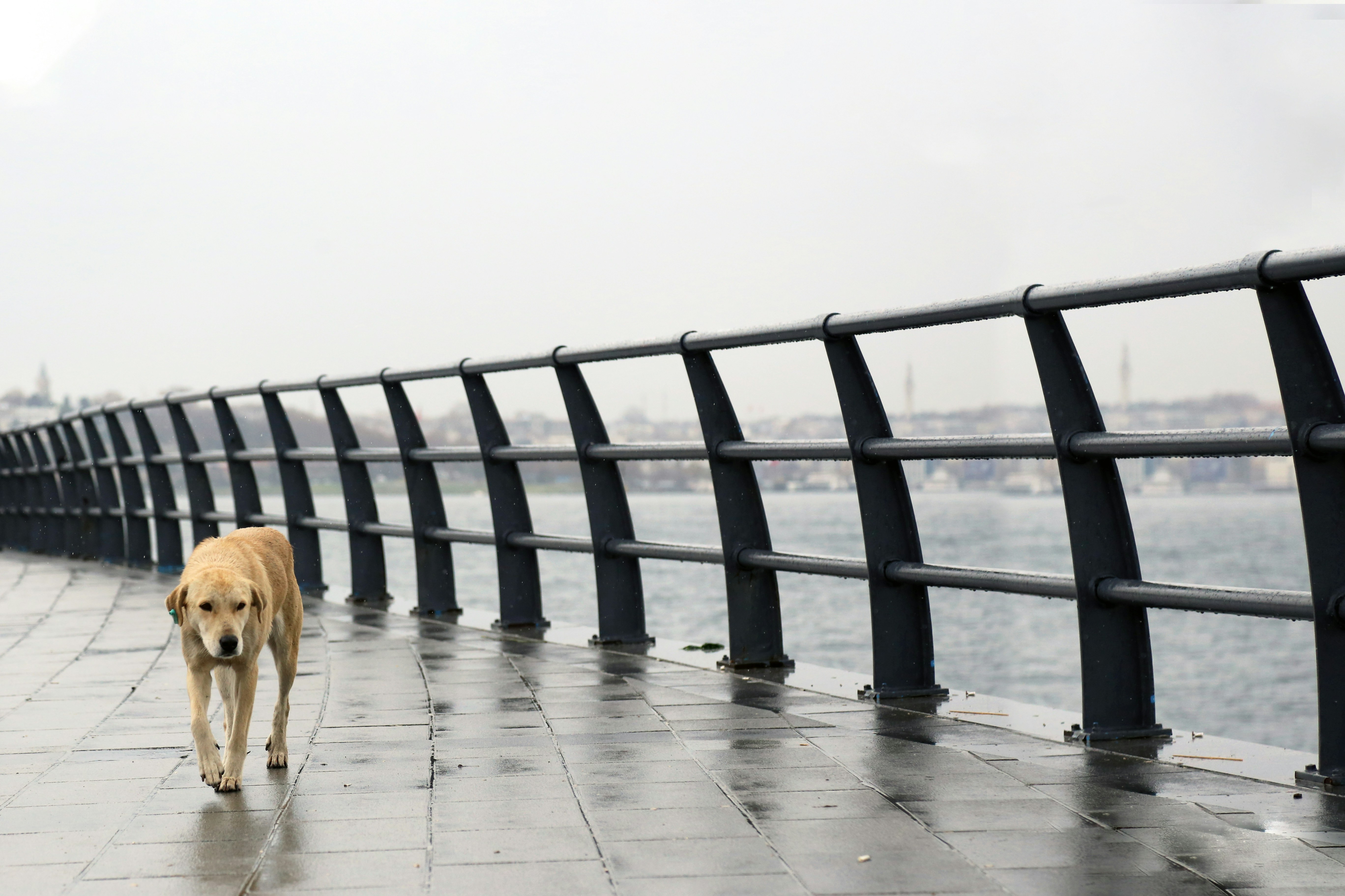 불가능은 없다! 유전자 치료, 난치병 정복의 드라마가 시작된다