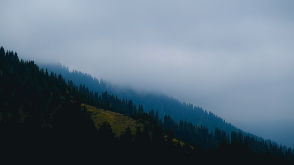 green trees on mountain under white clouds