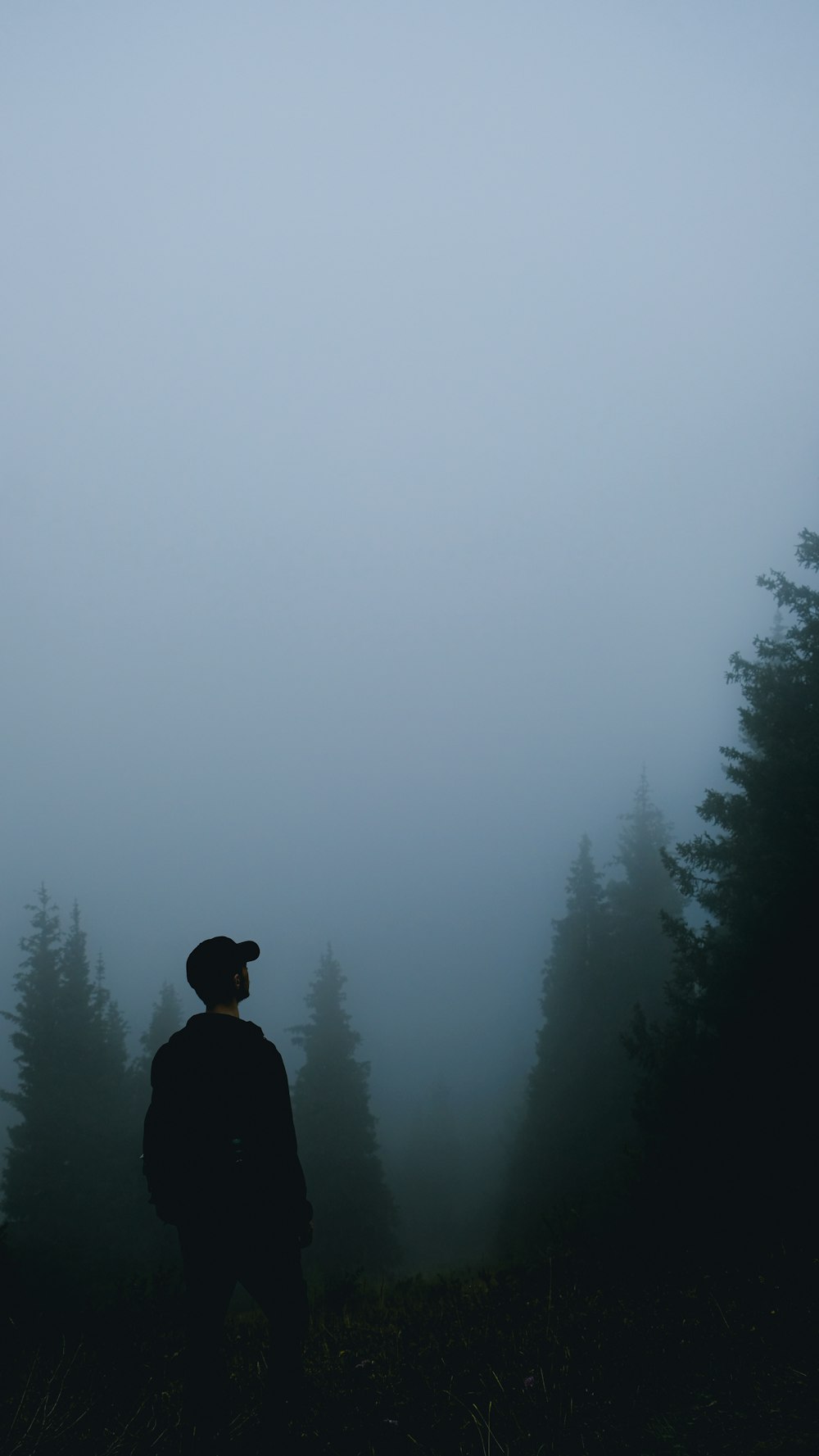 man in black jacket standing in front of green trees