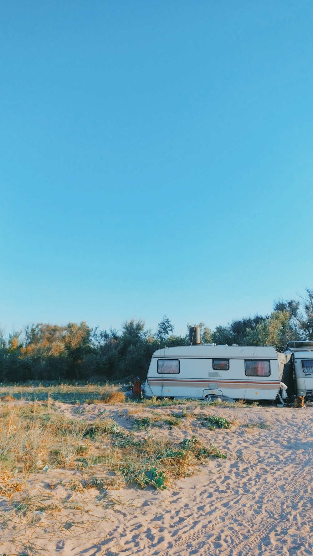 white and gray camper trailer on green grass field under blue sky during daytime