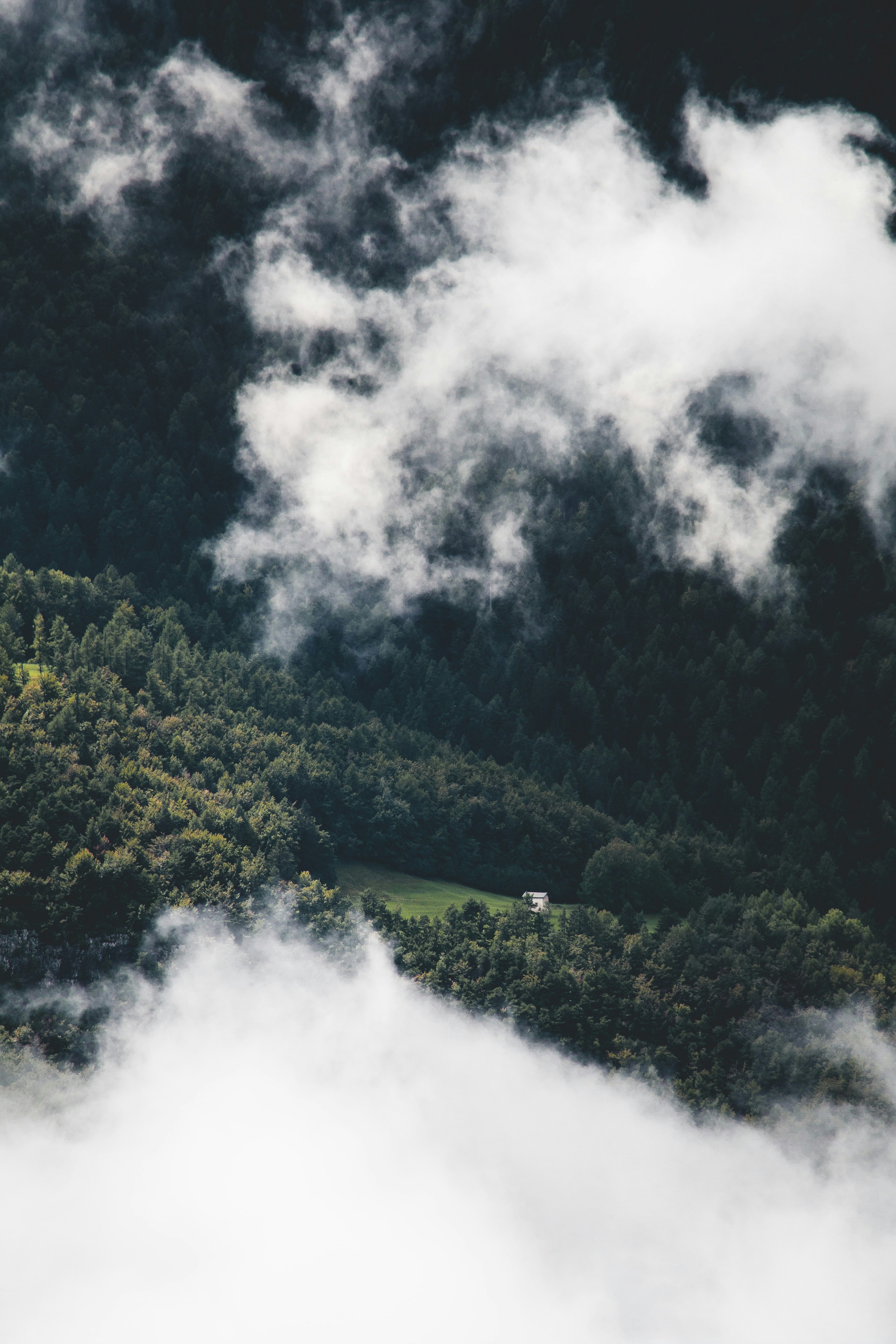 green trees on mountain under white clouds during daytime