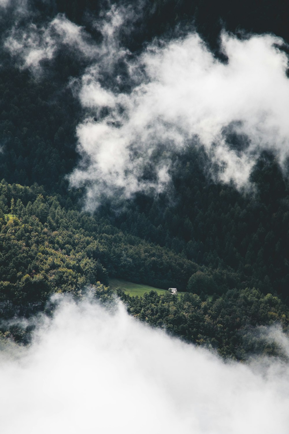 green trees on mountain under white clouds during daytime