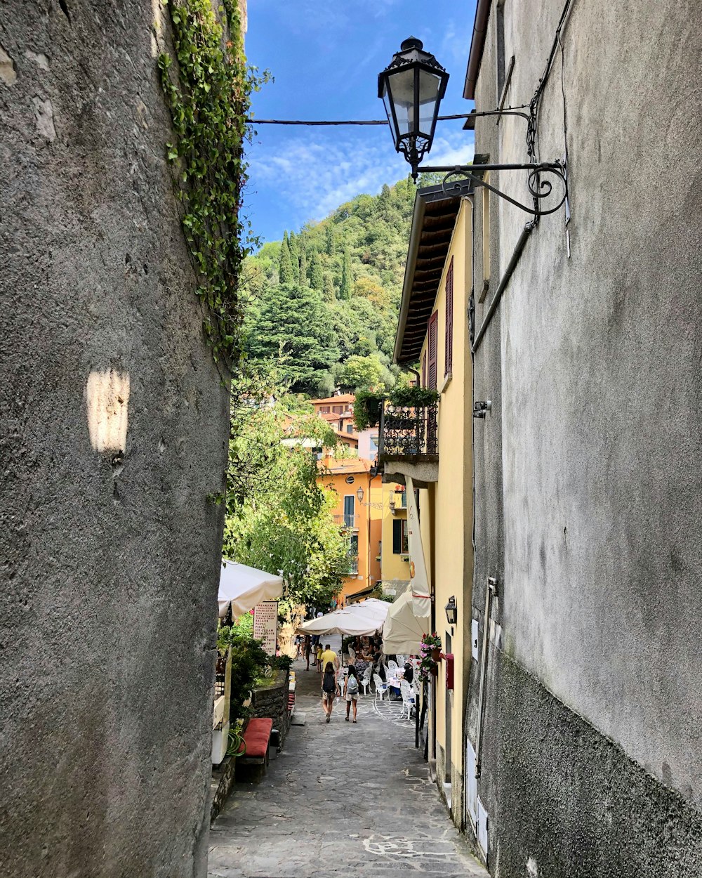 people walking on street during daytime