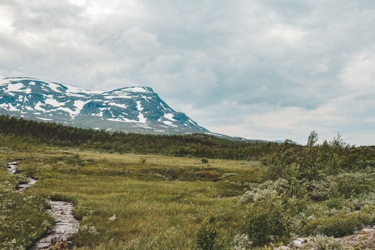 green grass field near mountain under white clouds during daytime in Abisko Sweden