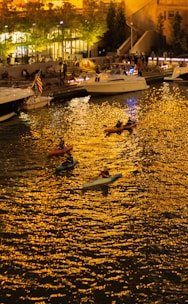 Kayakers watching the bioluminescent bay glow at night