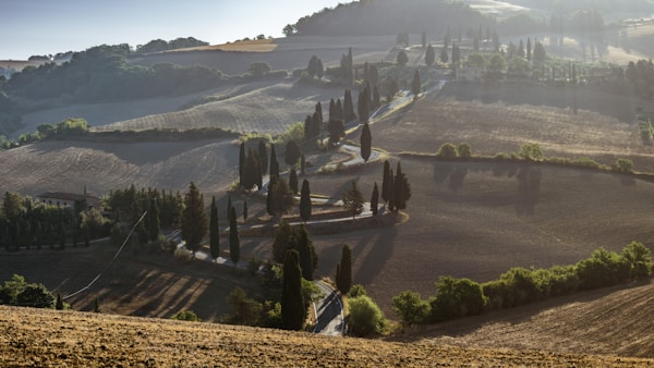 What to See in Siena: A Guide to the Charming Italian City