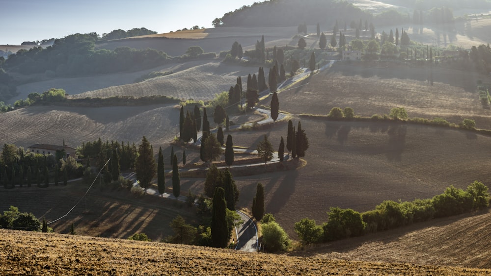 alberi verdi sulla montagna durante il giorno