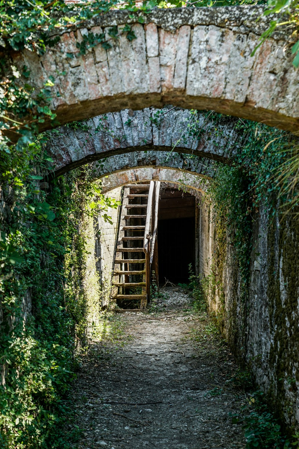 brown wooden ladder on tunnel