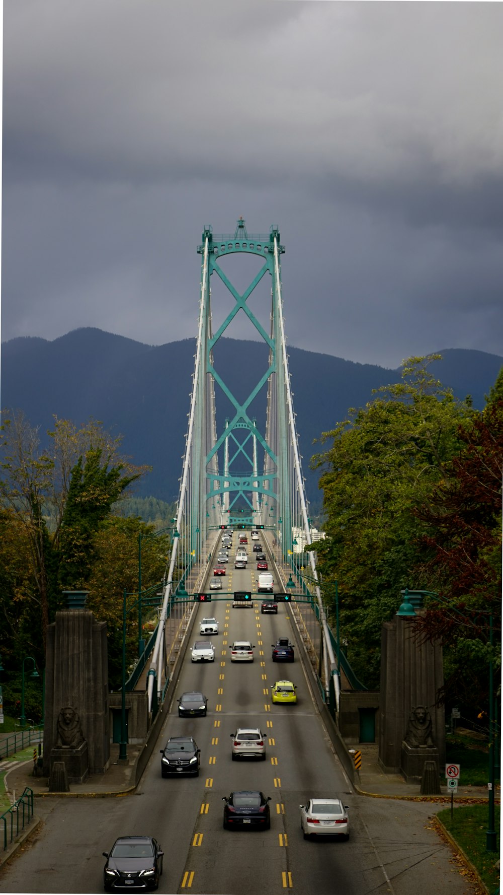 white bridge over green trees during daytime