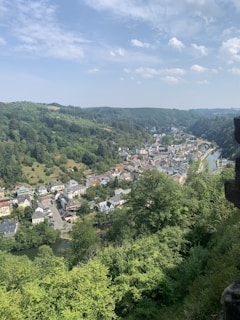 A lush green landscape with a small town nestled among a dense forested area. The town's houses, with their distinct European architectural style, are clustered together and bordered by a river flowing alongside.