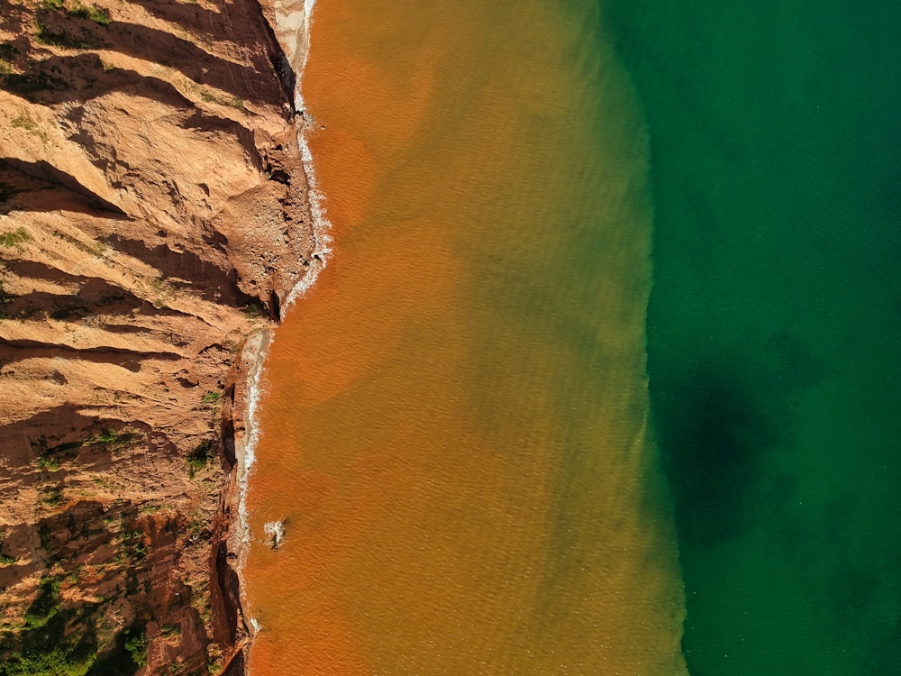 茶色と緑の海の航空写真