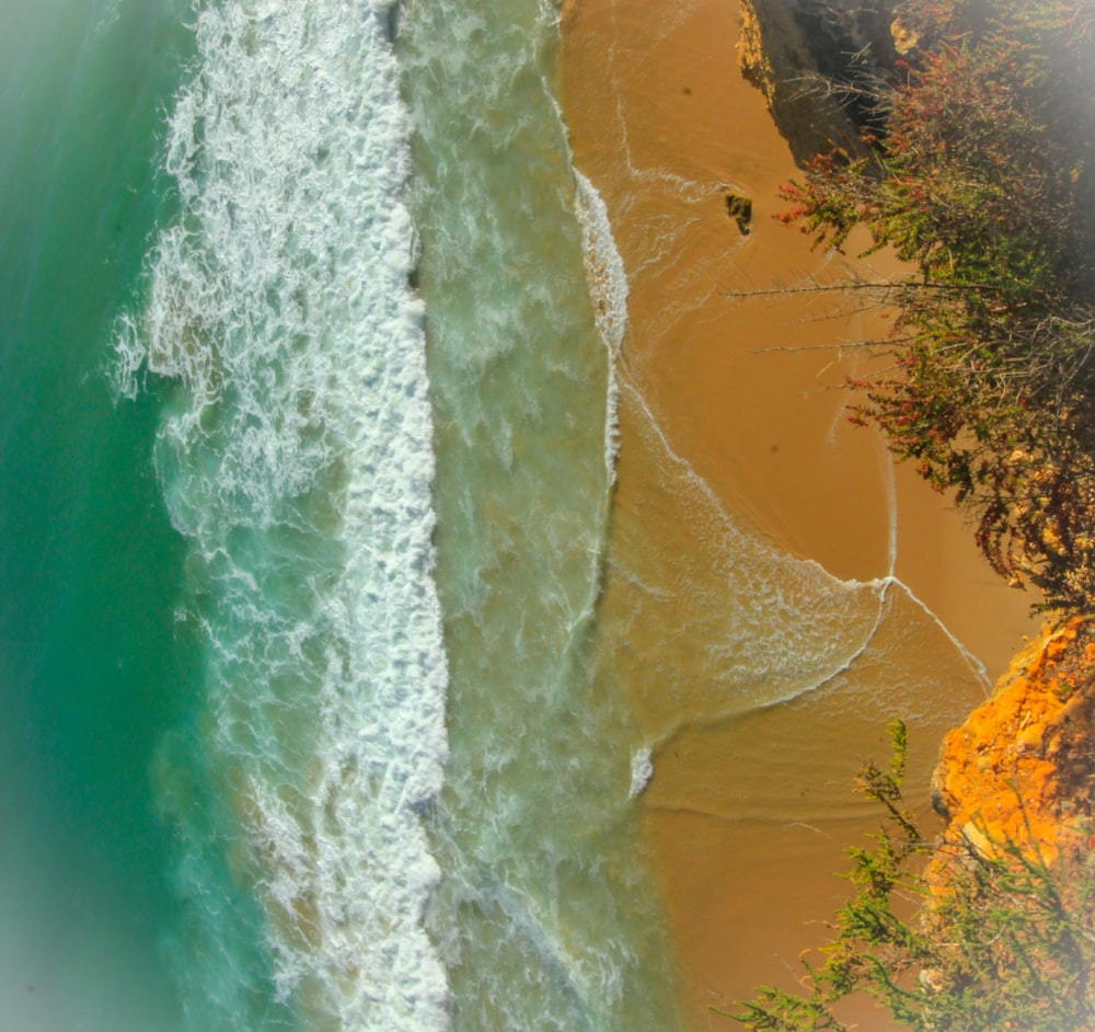 aerial view of beach during daytime