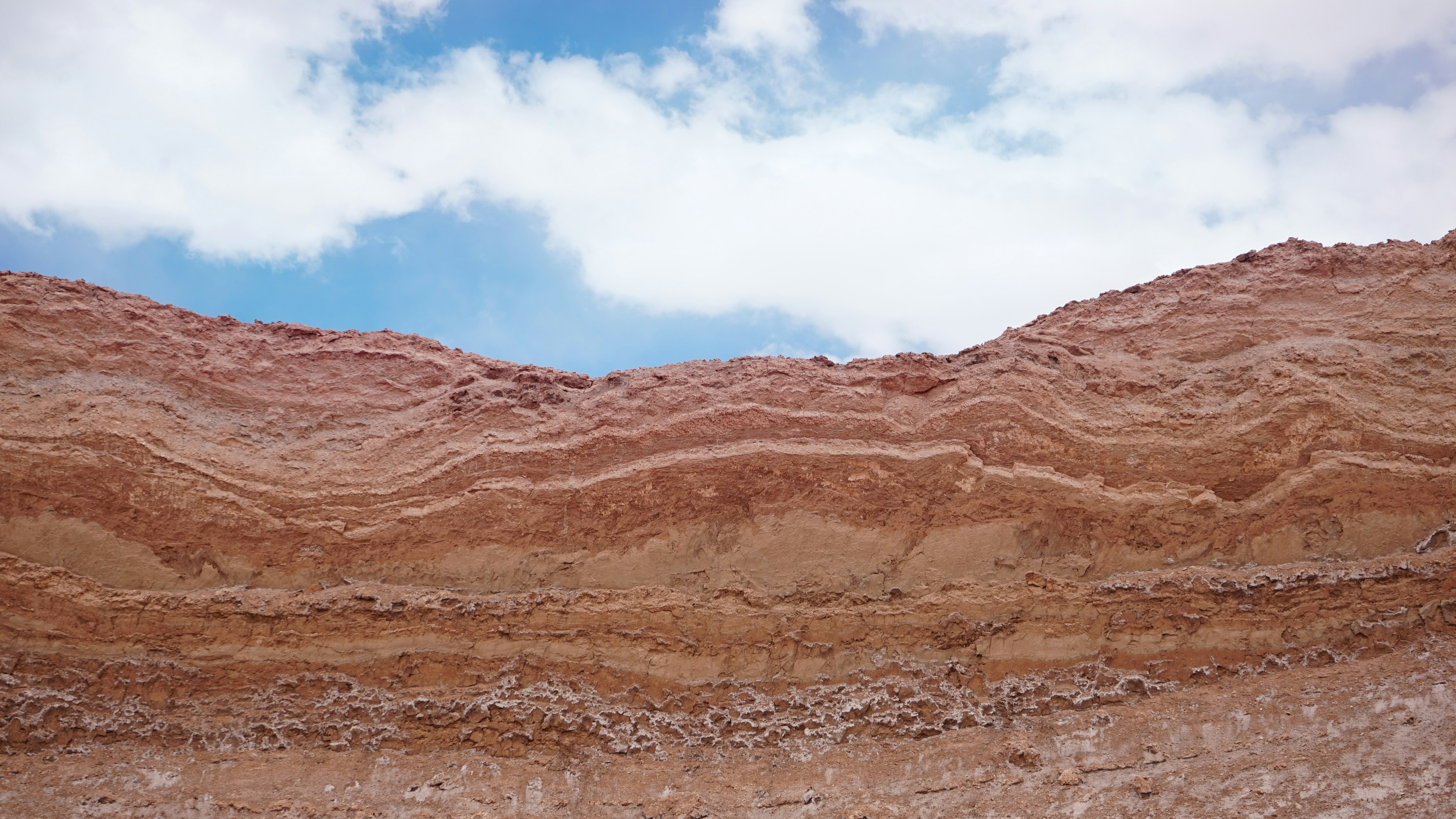 Photo by josedibattista