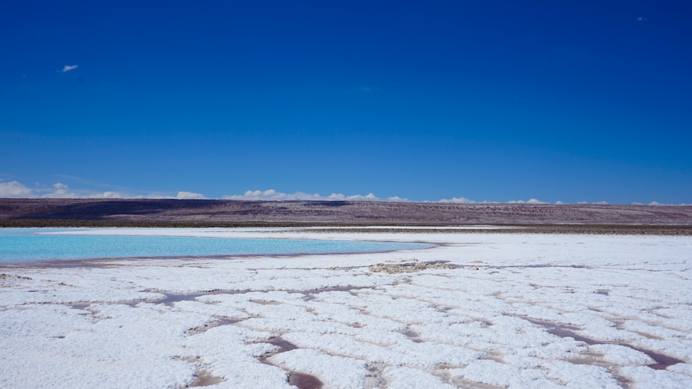 white sand beach under blue sky during daytime