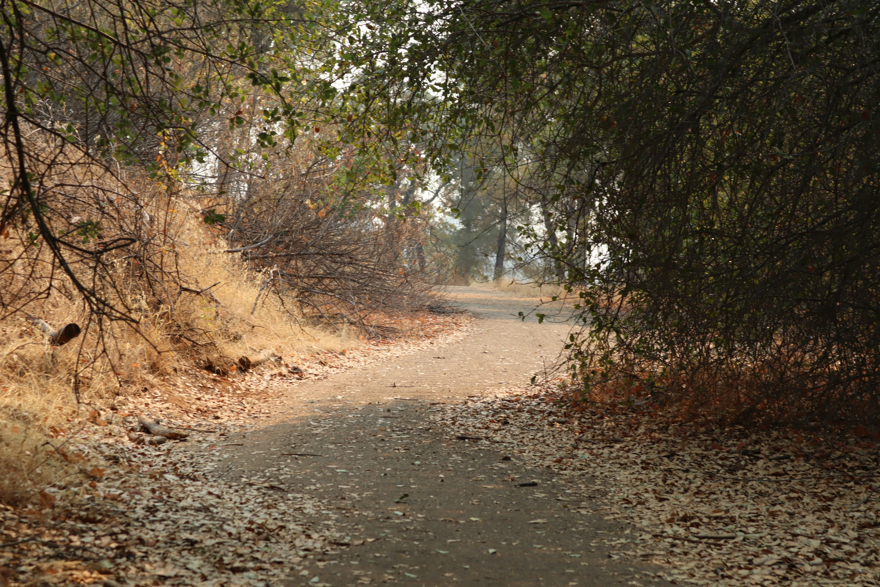 Photo by lg_photography