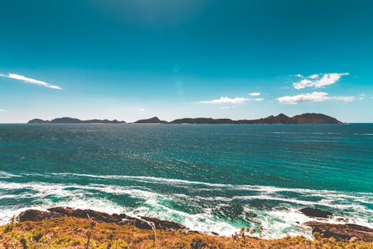 green grass field near body of water under blue sky during daytime in Islas Cíes Spain